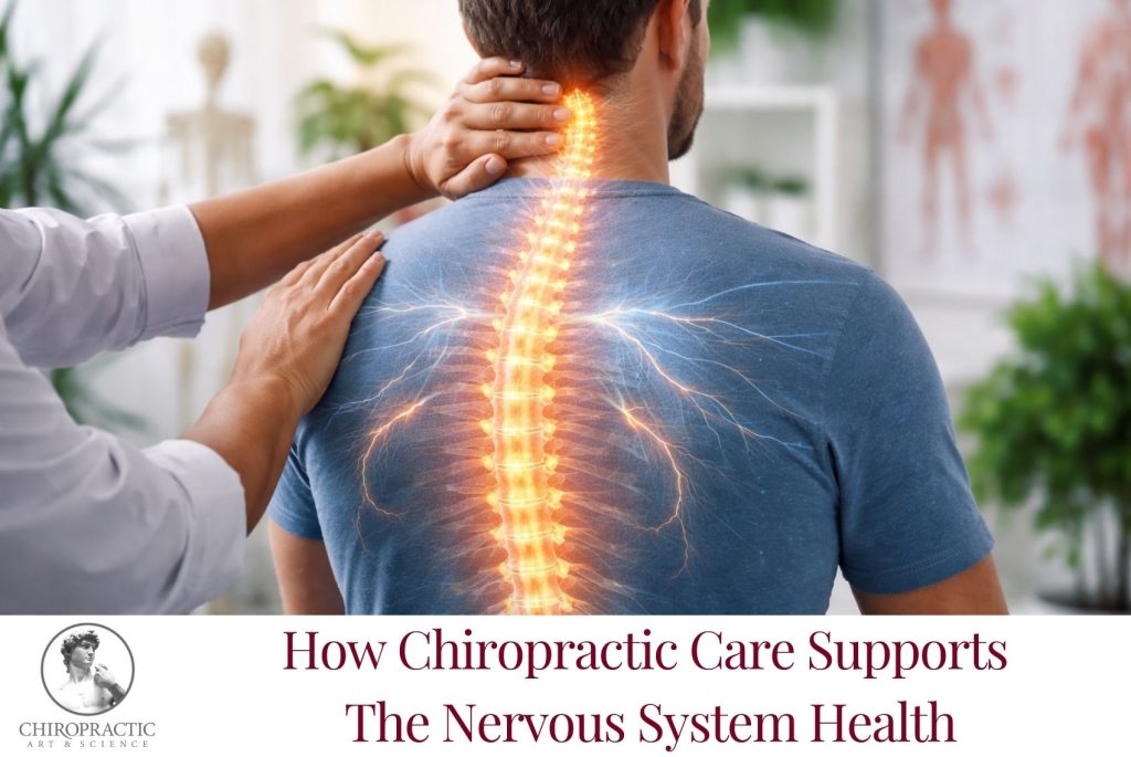 How Chiropractic Care Supports The Nervous System Health